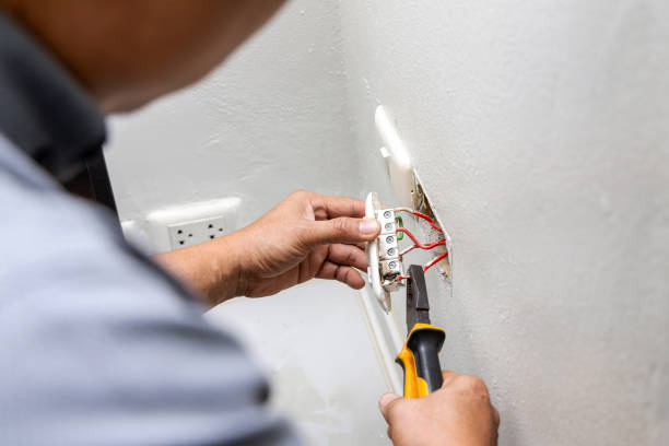 Best Home Electrical Repair  in Foley, MN